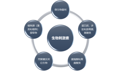 生物刺激素行业全景洞察 市场规模、发展前景与投资机遇分析